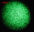 Thumbnail for version as of 15:32, 21 February 2012