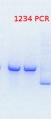 Thumbnail for version as of 15:20, 17 July 2013