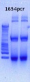 Thumbnail for version as of 16:06, 15 March 2013