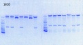 Thumbnail for version as of 14:18, 31 July 2013