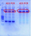 Thumbnail for version as of 13:59, 9 December 2011