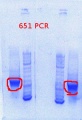 Thumbnail for version as of 15:20, 17 July 2013