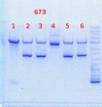 Thumbnail for version as of 11:09, 23 September 2013