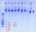 Thumbnail for version as of 17:37, 4 March 2013