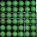 Thumbnail for version as of 11:18, 1 July 2016