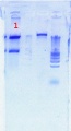 Thumbnail for version as of 11:51, 29 June 2012