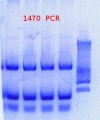 Thumbnail for version as of 13:28, 20 December 2012