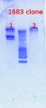Thumbnail for version as of 16:41, 25 February 2013