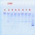 Thumbnail for version as of 16:01, 24 July 2013