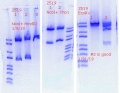 Thumbnail for version as of 22:46, 9 January 2019