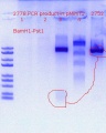 Thumbnail for version as of 18:02, 7 June 2020