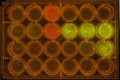 Thumbnail for version as of 16:13, 11 October 2014