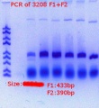 Thumbnail for version as of 14:07, 7 June 2018