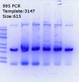 Thumbnail for version as of 12:31, 12 July 2018