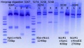 Thumbnail for version as of 11:34, 12 September 2018