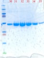 Thumbnail for version as of 11:55, 24 April 2011