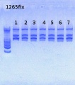 Thumbnail for version as of 15:38, 25 April 2013
