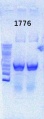 Thumbnail for version as of 12:27, 10 July 2013