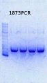 Thumbnail for version as of 12:36, 28 October 2013