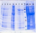 Thumbnail for version as of 17:55, 4 December 2014