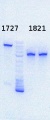 Thumbnail for version as of 13:23, 14 August 2013