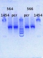 Thumbnail for version as of 12:02, 7 May 2013
