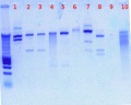 Thumbnail for version as of 12:40, 17 July 2011