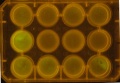 Thumbnail for version as of 10:00, 1 December 2011