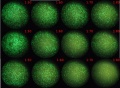 Thumbnail for version as of 12:29, 23 November 2011