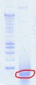 Thumbnail for version as of 10:47, 9 August 2012