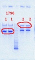 Thumbnail for version as of 14:54, 16 July 2013