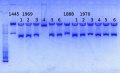 Thumbnail for version as of 15:25, 6 December 2013