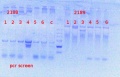 Thumbnail for version as of 13:25, 30 April 2014