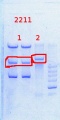 Thumbnail for version as of 13:22, 14 May 2014