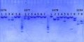 Thumbnail for version as of 12:40, 26 August 2014