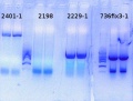 Thumbnail for version as of 17:27, 30 January 2015