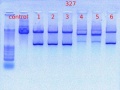 Thumbnail for version as of 16:31, 1 December 2011