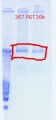 Thumbnail for version as of 15:13, 18 October 2011