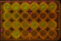 Thumbnail for version as of 09:51, 29 October 2014