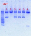 Thumbnail for version as of 12:44, 15 February 2013