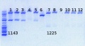 Thumbnail for version as of 13:58, 11 June 2012