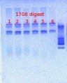 Thumbnail for version as of 12:55, 25 March 2013