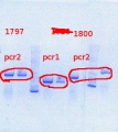 Thumbnail for version as of 11:37, 23 July 2013