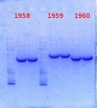 Thumbnail for version as of 10:26, 6 December 2013