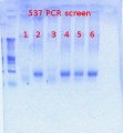 Thumbnail for version as of 08:47, 10 July 2012