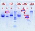 Thumbnail for version as of 13:13, 26 September 2012