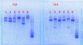 Thumbnail for version as of 10:04, 15 January 2014