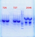 Thumbnail for version as of 11:34, 4 February 2014