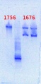 Thumbnail for version as of 12:01, 12 June 2013