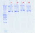 Thumbnail for version as of 13:40, 13 August 2012